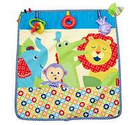 Fisher-Price On-the-Go Activity Throw