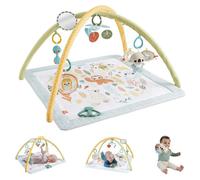 Fisher Price Animals Gym Sensimals