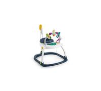 Fisher Price Astro Kitty Spacesaver Jumperoo
