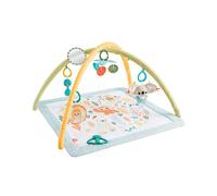Fisher-Price Baby Playmat Simply Senses Newborn Gym with Mobile & Sensory Activity Toys for Developmental Play Ages 0+ Months, JMN74