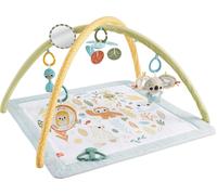 Fisher-Price Baby Activity Mat Simply Senses Newborn Gym with 6 Portable Sensory
