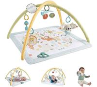 Fisher-Price Simply Senses Newborn Gym Baby Activity Mat with 6 Sensory Toys