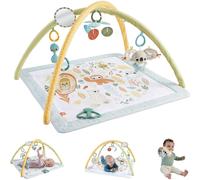Fisher-Price Baby Playmat Simply Senses Newborn Gym with Mobile & Sensory Activity Toys for Developmental Play Ages 0+ Months, HRB15