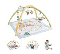 Fisher-Price Baby Playmat Simply Senses Newborn Gym with Mobile & Sensory Activity Toys for Developmental Play Ages 0+ Months, JMN74