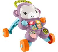 Fisher-Price Baby Push Toy Learn with Me Purple Monkey Walker Musical Learning Activity with Lights for Infants Ages 6+ Months, JLD58
