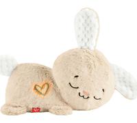 Fisher Price Sensimals Bunny Sweet Dreams Teddy