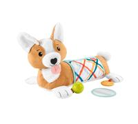 Fisher-Price Baby Toy 3-in-1 Puppy Tummy Time Wedge Support with Mirror, Teether & Rattle, Developmental Play for Newborns Ages 0+ Months, HJW10