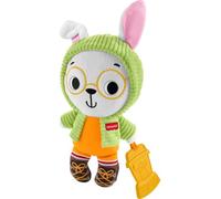 Fisher-Price Baby Toy Friendship Forest Cuddle & Chime Bunny Plush with Teether & Sensory Activities for Infants Ages 6+ Months, JLB87