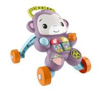 Fisher-Price Baby Walker Learn With Me Purple Monkey Toy with Music Lights & Activities for Infants & Toddlers Ages 6+ Months, JGW90