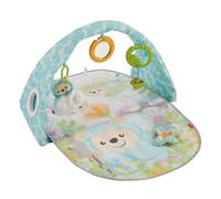 Fisher Price Butterfly Dreams Musical Playtime Gym