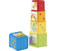 Fisher-Price CDC52 Stack and Explore Blocks
