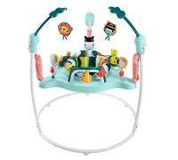 Fisher-Price Colourful Corners Jumperoo