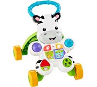 Fisher-Price DLF00 baby walker Multicolour
