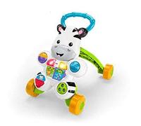Fisher-Price DLF00 baby walker Multicolour