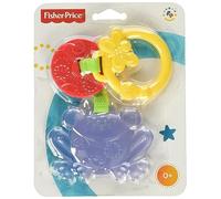 Fisher-Price - Friendly Frog Teether (Cbk76)