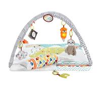 Fisher-Price GKD45 Deluxe Gym, Multicoloured