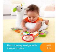 Fisher Price Glk39/ghj03 Grow-With-Me Tummy Time Llama (Brown Eco Box)