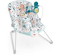 Fisher-Price GPH13 Baby's Bouncer, Multi-Coloured