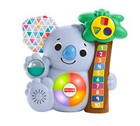 Fisher-Price GRG70 Toy, Multicoloured