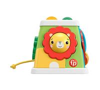 Fisher-Price GYM44 - Safari Explorer Cube That Stimulates The Senses, Baby Toy from 6 Months