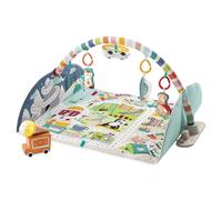 Fisher Price Activity Gym