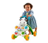 Fisher-price Learn With Me Zebra Baby Walker