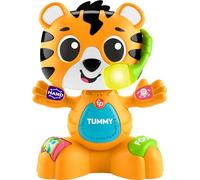 Fisher-Price -Link Squad Tiger Body Parts Musical Activity Toy HYL00