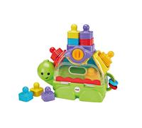 Fisher-Price Little Stackers Sort 'n Spill Turtle