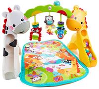 Fisher-Price Newborn-to-Toddler Play Gym
