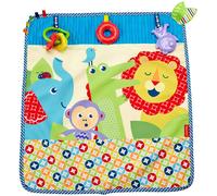 Fisher-Price On-the-Go Activity Throw