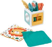 Fisher-Price Paradise Pals Tissue Cube Sensory Activity