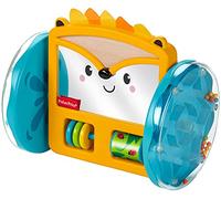 Fisher-Price Play & Crawl Hedgehog Mirror, tummy time and crawling toy for babies ages 3 months & up