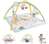 Fisher-Price Simply Senses Newborn Gym Baby Activity Mat with 6 Sensory Toys