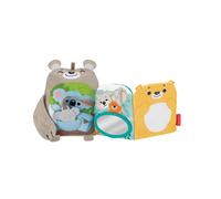 Fisher-Price Sit & Snuggle Activity Book, Plush Animal Toy and Soft Book with Mirror, Teether, and Sensory Activities for Babies Ages 3 Months+, GJD37