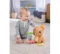 Fisher-Price Snuggly Snacky Capybara Plush Baby Sensory Toy With Teether &Amp; Rattle For Newborns One Colour