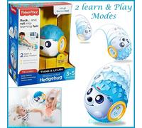 Fisher Price Think and Learn Rhythm N Roll Hedgehog Pre School Activity Toy NEW