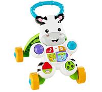 Fisher-Price DLF00 baby walker Multicolour