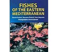 Fishes of the Eastern Mediterranean