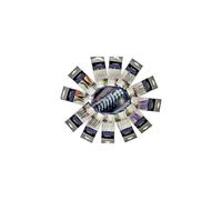 Fishing 12 2 x 6 Styles Assorted Classic Ready to Use Tied Boat Sea and Shore Feather Lure Rig Range for Cod Herring and Mackerel on a Backing Card