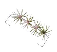Fishing Bait Set - 4 Piece Slow Sinking Leaders Pros Soft Bait, Floating Realistic Swimming Baits, Durable Multi-Joint Fishing Bait Set|High Quality Trout Catfish Bait, Lake River Boat Fishing,