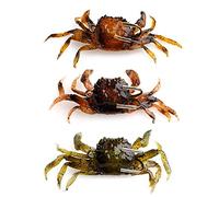 Fishing Lure Crab Lure Crab Sharp Hook Artificial Bait Crab With Hook Simulation Crab Lure Fishing Tackle Simulated 3d Crab Bait With Sharp Hooks, Suitable For Fresh And Marine Water