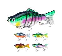 Fishing Lure for Pole, 3D Sport Fishing Lure - Realistic and Multifunctional 3D Lure for Saltwater, Freshwater Trout and Catfish