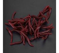 Fishing Lure Soft Artificial Baits - 200Pcs Realistic False Earthworm Sea Bait Bloodworm Lures, Ideal for Carp, Silver Carp, Bass and Other Fish (100pcs per pack)