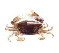 Fishing Lures 810cm Crab Shape with 3D Simulation Double Hooks Artificial Silicone Bait Designed for Attracting Big Fish in Various Waters (3#-8cm 19g)