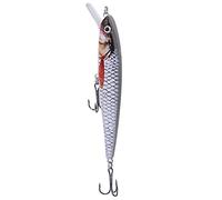 Fishing Lures Artificial Lifelike 3D Fish Eye Minnow Hard Bait Tackle Accessory for Freshwater Saltwater Anglers Plastic Colorful 11cm 21g (11CM-11G-6#hook)