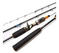 Fishing Rod, Fishing Pole 1.8m 2.1m Jig Fishing Rod Lure 30-150g 2 Sections Titanium alloy Tip Sea Boat Carbon Fishing Jigging Rod Casting(Casting rod,1.98M)
