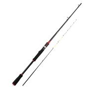 Fishing Rod Kit with Reel, Telescopic Baitcasting Rod for Coastal Fishing, Portable Rod Combo with Fish Case Holder, Saltwater Equipment for Men, Women, Outdoor Fishing