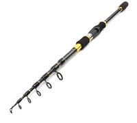 Fishing Rod Power Lure Portable Telescopic Fishing Rod Spinning Fish Hand Fishing Tackle Sea Rod Fishing Pole(2.4 m)