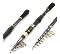 Fishing Rod, Ultra-Short Hard Sea Fishing Rod Straight Handle Pocket-Sized for Boat Rock Long-Distance Fishing Gear(2.4m)