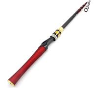 Fishing Rods Carbon Fibre Portable Telescopic Tackle Suitable For Travelling Saltwater Freshwater(Spinning Rod,2.1 m)
